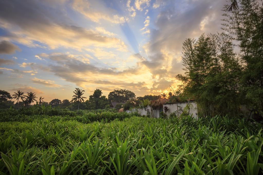 The Pandan Tree Villas Canggu Kültér fotó