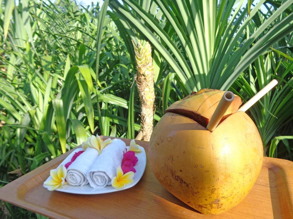 The Pandan Tree Villas Canggu Kültér fotó